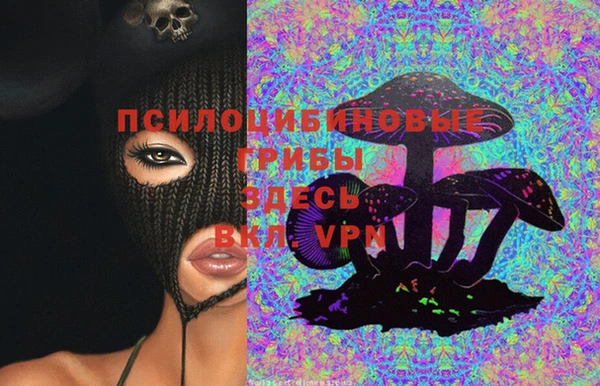 jwh Осинники